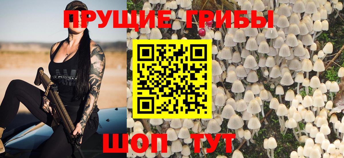 Псилоцибиновые грибы MAGIC MUSHROOMS  Псилоцибиновые грибы мухоморы  Вход с VPN  наркошоп  Ишим 